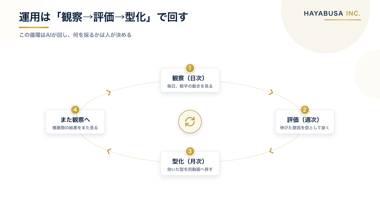 YouTube運用でAIに任せる循環を観察（日次）→評価（週次）→型化（月次）→再び観察の4段階で示し、循環はAIが回し判断は人が握ることを表した図解